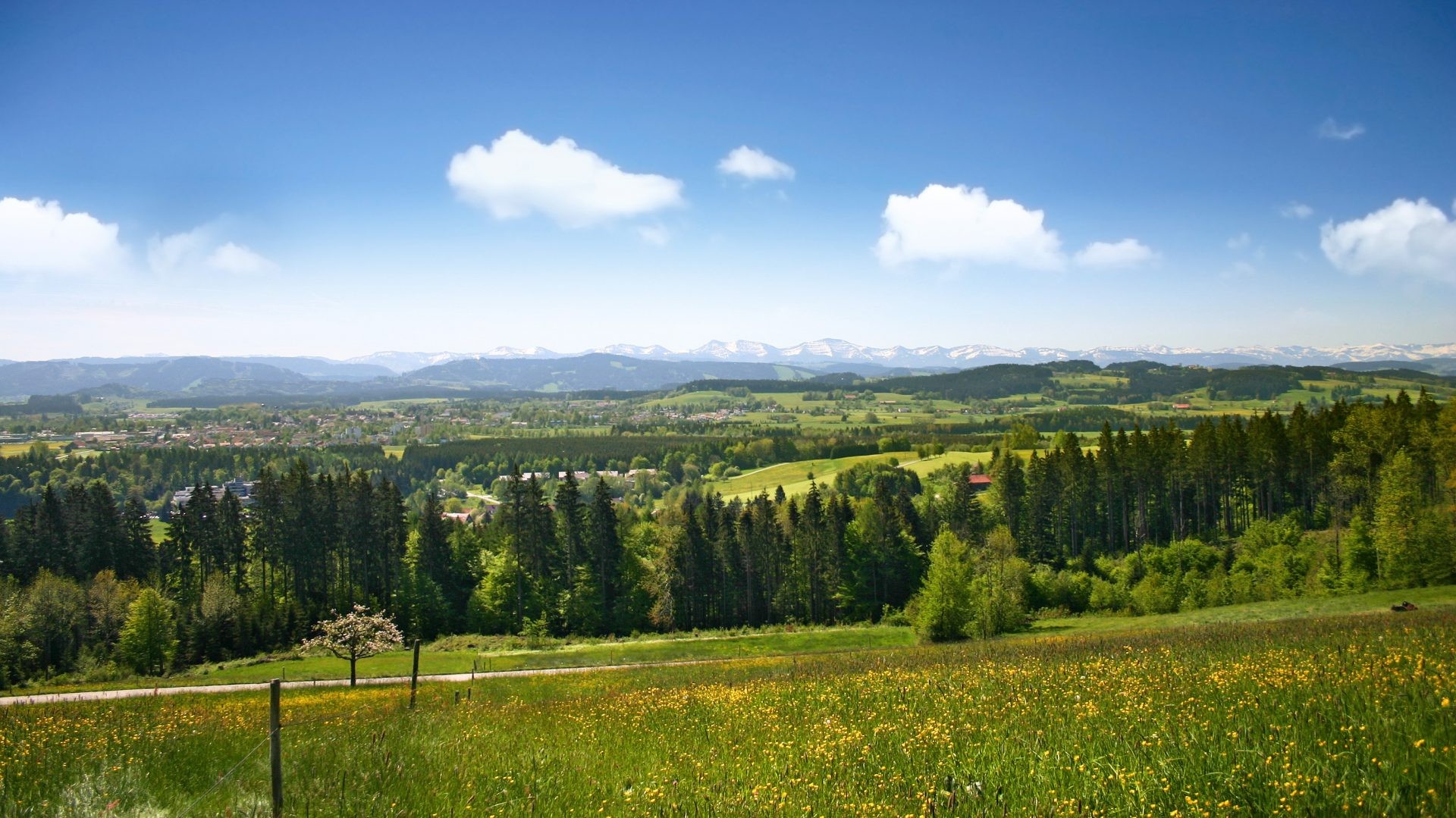 Blick über blühende Wiesen und Wälder auf Isny und die schneebedeckten Allgäuer Alpen.