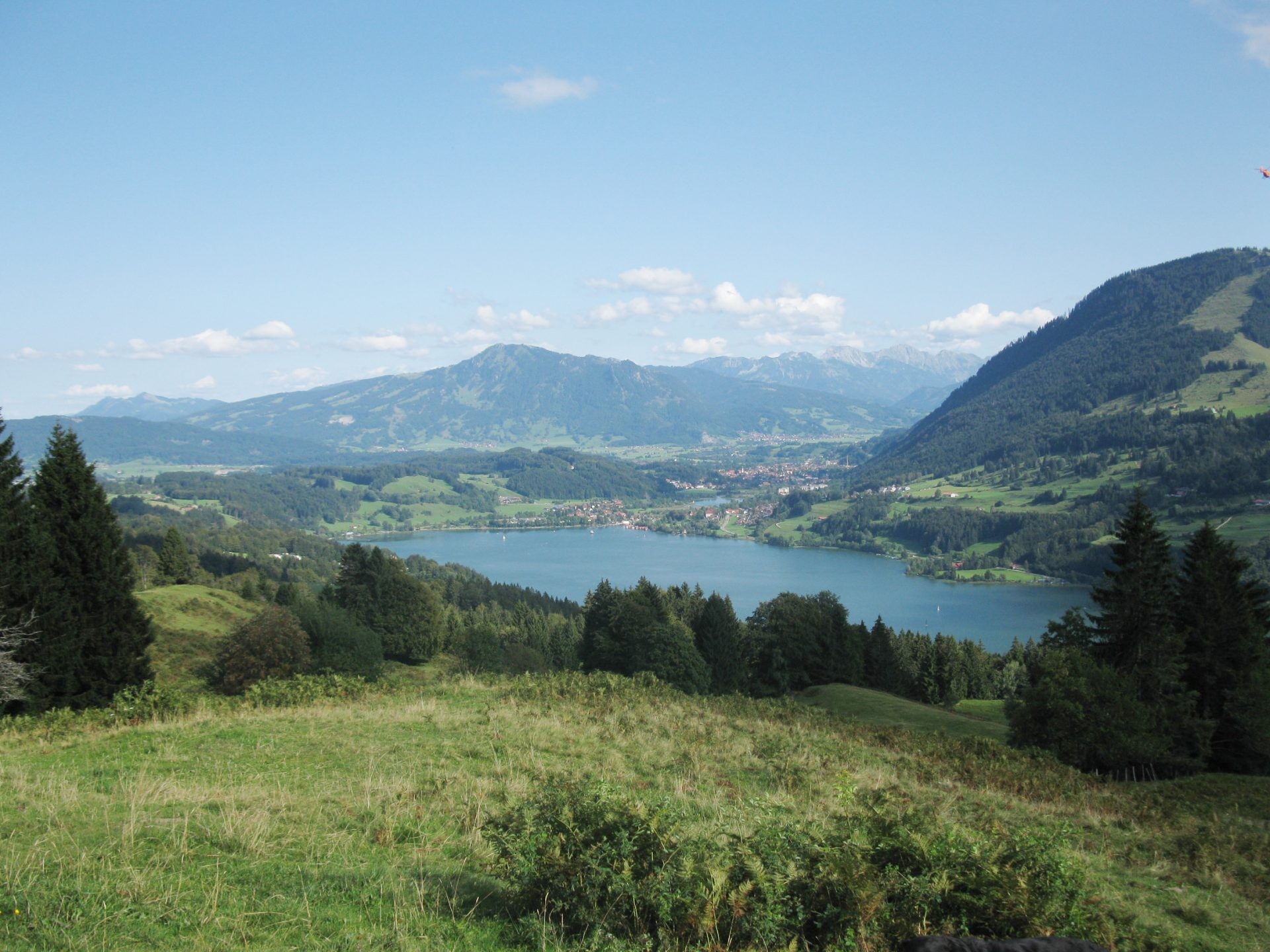Blick von einer Bergwiese über einen See auf die Allgäuer Alpen.