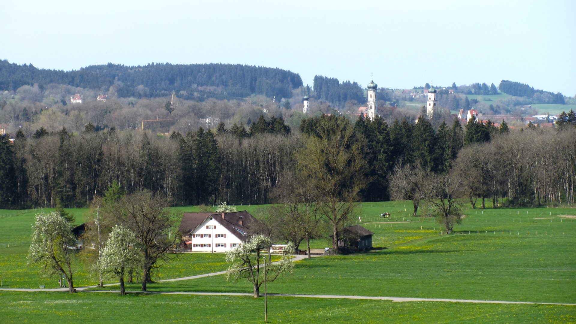 Blick über grüne Wiesen auf einen weißen Bauernhof, dahinter Wald und die Kirchtürme von Isny im Allgäu.