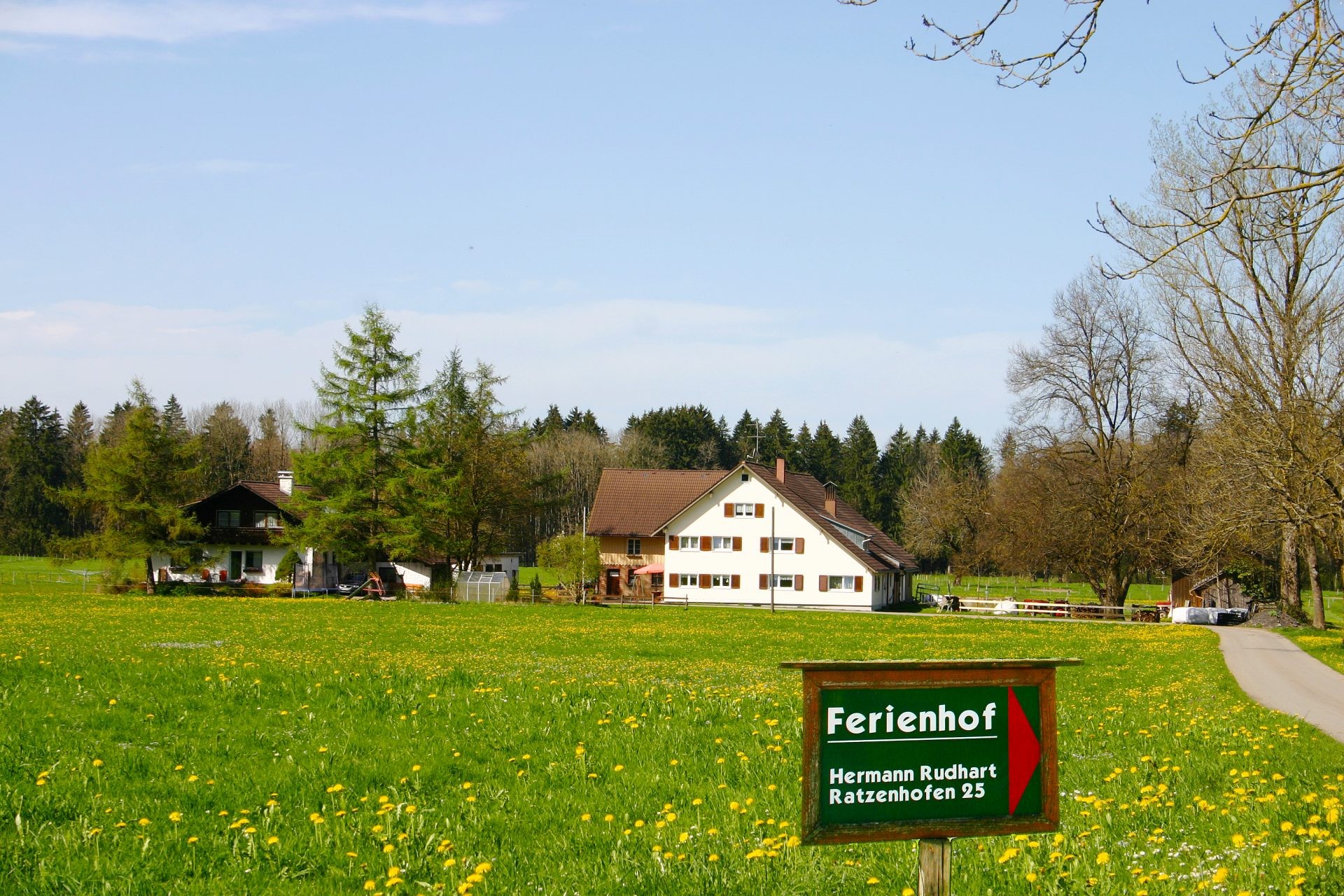Wegweiser „Ferienhof Hermann Rudhart“ in einer Löwenzahnwiese, dahinter das weiße Wohnhaus und das Nebenhaus.