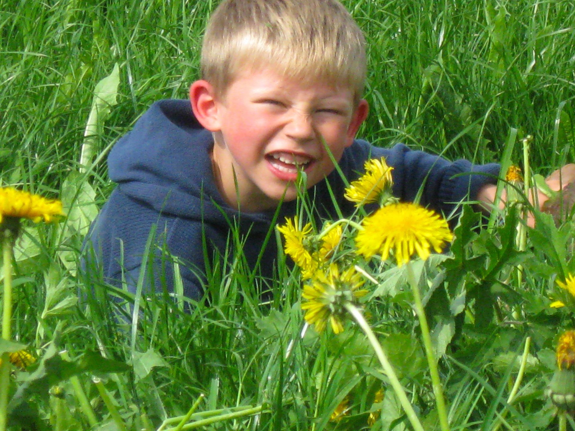 Ein lachender Junge versteckt sich in einer Wiese voller Löwenzahn.