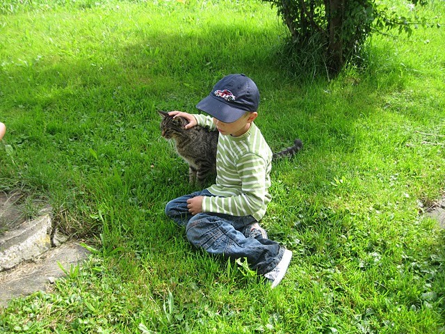 Ein Junge sitzt im Gras und streichelt eine getigerte Katze.
