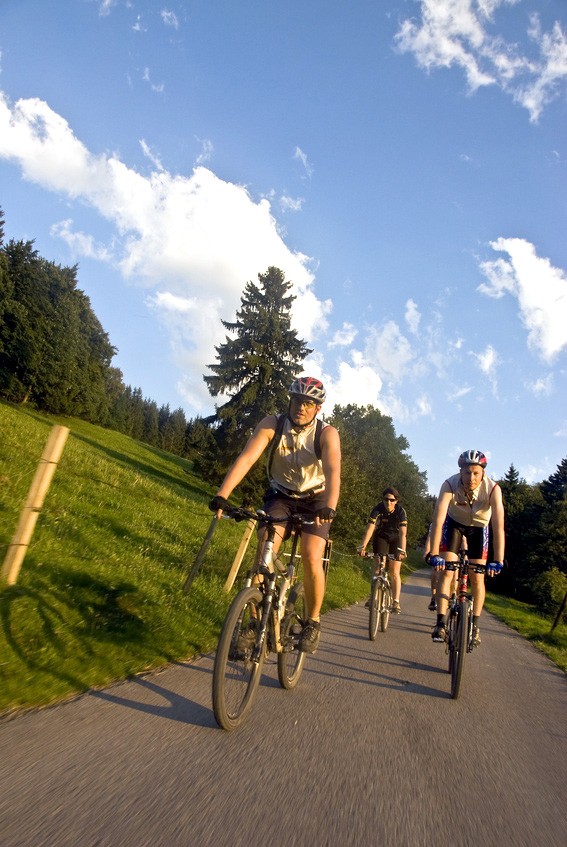 Drei Mountainbiker fahren auf einem Feldweg zwischen Wiese und Fichten.