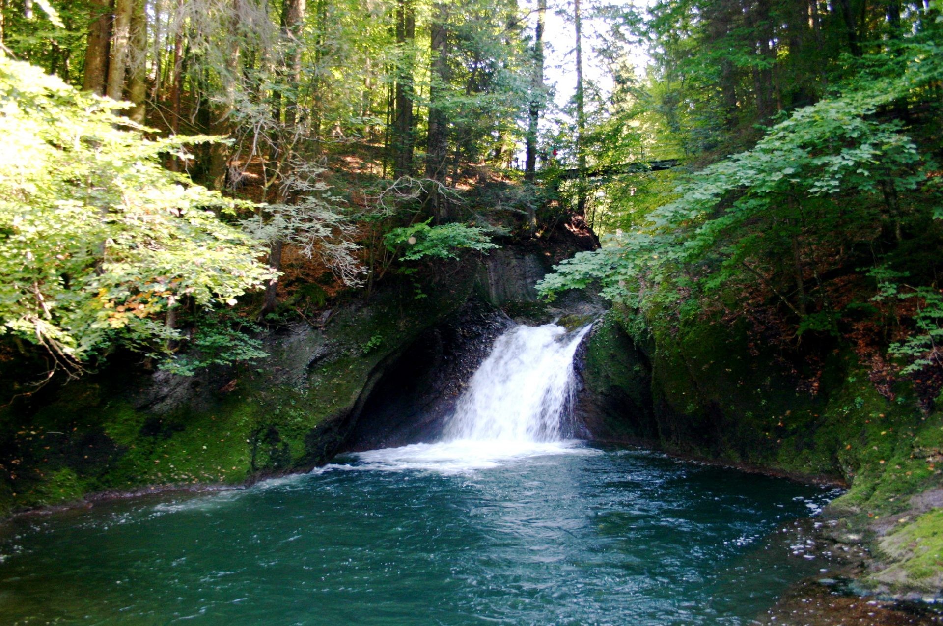 Ein Wasserfall stürzt in einer bewaldeten Schlucht in ein grünes Becken.