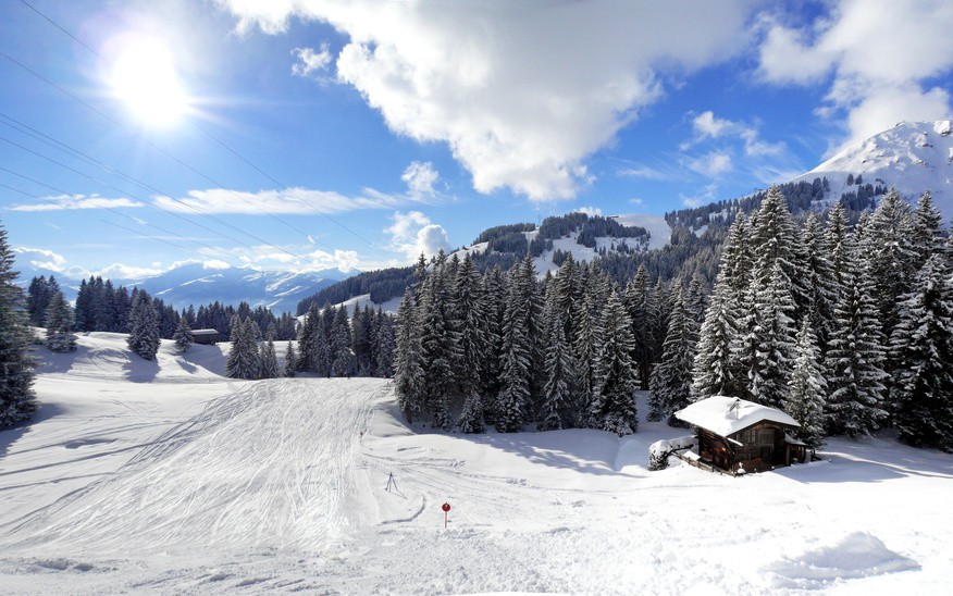 Eine verschneite Skipiste mit Holzhütte zwischen Fichten in der Wintersonne.